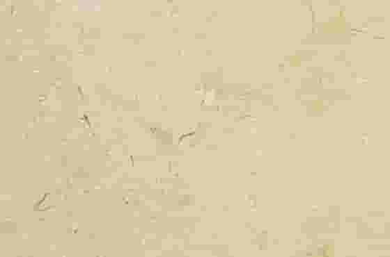新西米黃