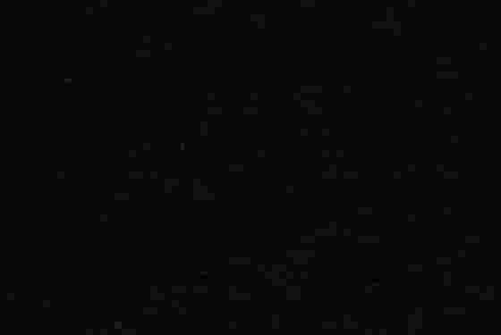 西鄉(xiāng)黑