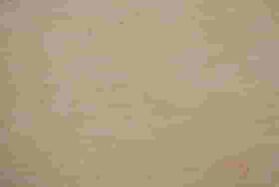 金世紀(jì)米黃
